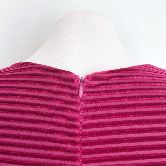 Copper Key Berry Velvet Stripe Dress - Picture 8 of 11